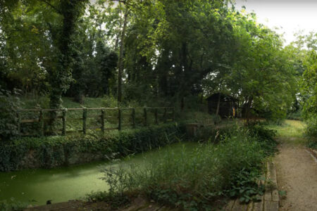 Jardin Sauvage Saint-Vincent
