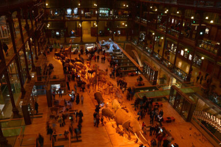 Museo de Historia Natural