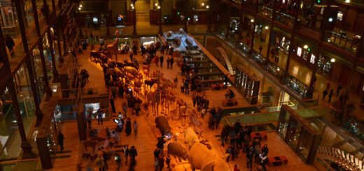 Museo Historia Natural de París